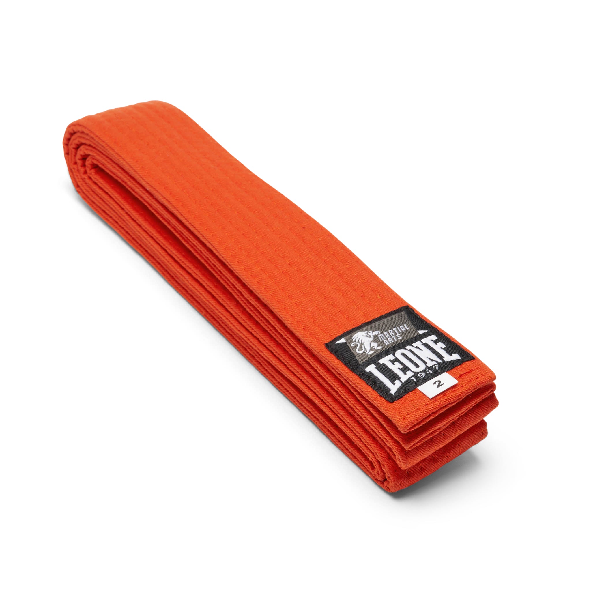 Cintura Arti Marziali Leone