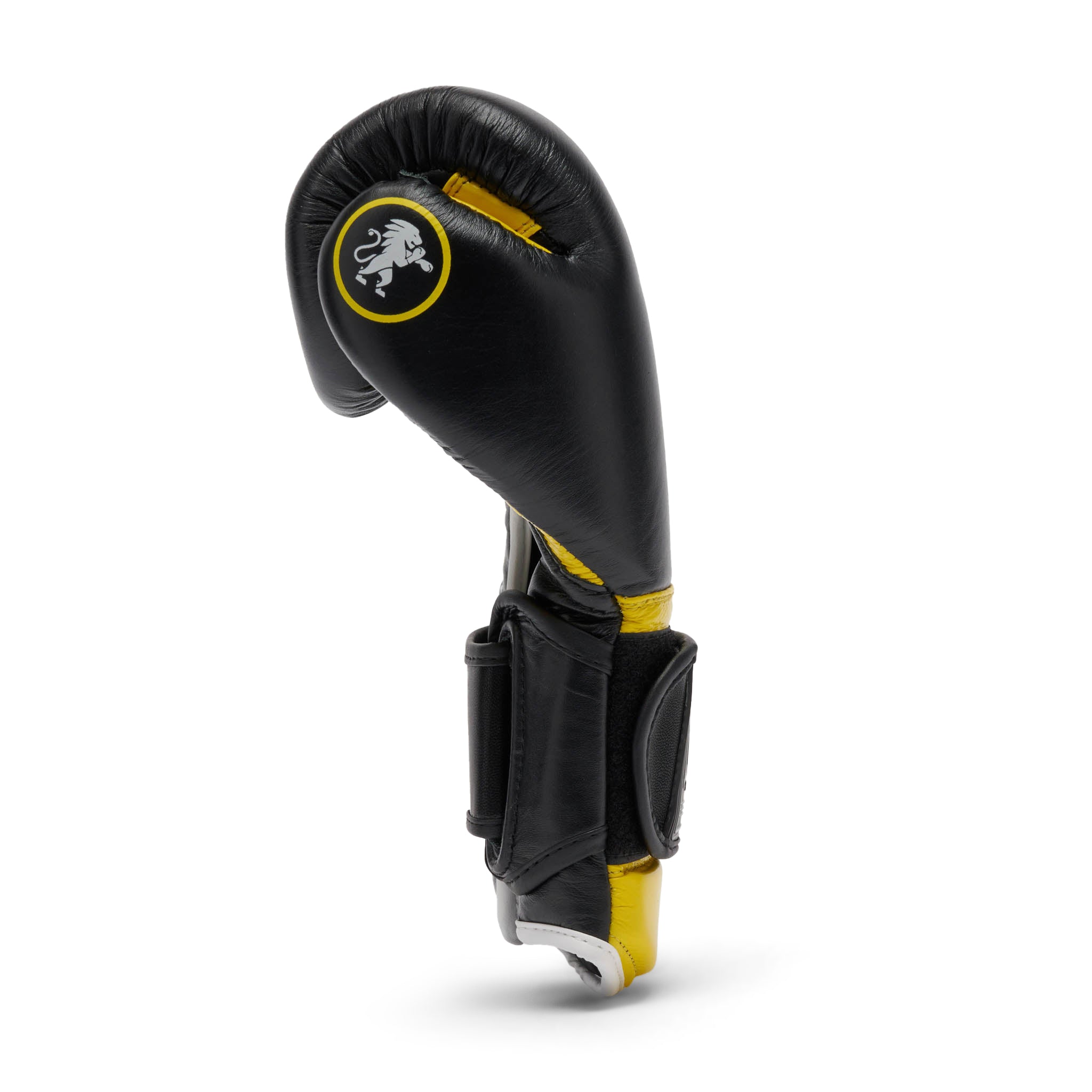 Guantoni Leone Boxe Professional 2