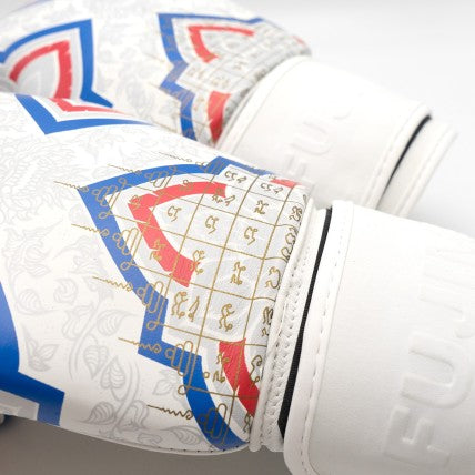 Guantoni in Pelle SakYant II FujiMae