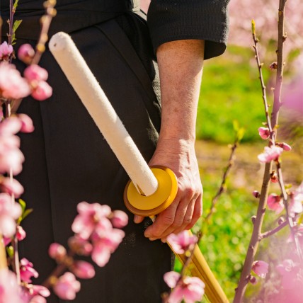 Shinai In Bambù Kendo
