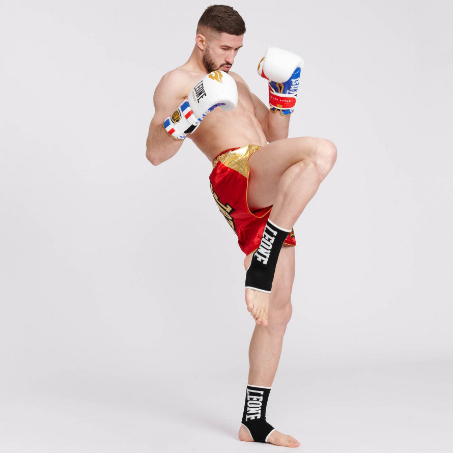 Cavigliere Leone Rinforzate