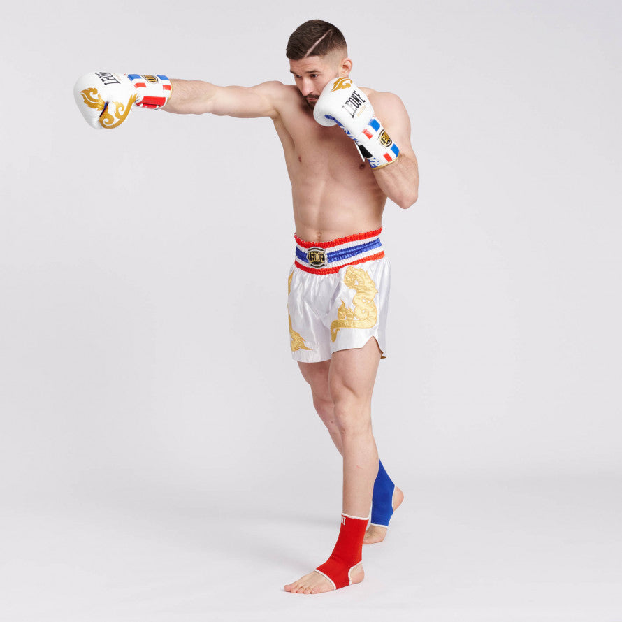 Guantoni Muay Thai Leone