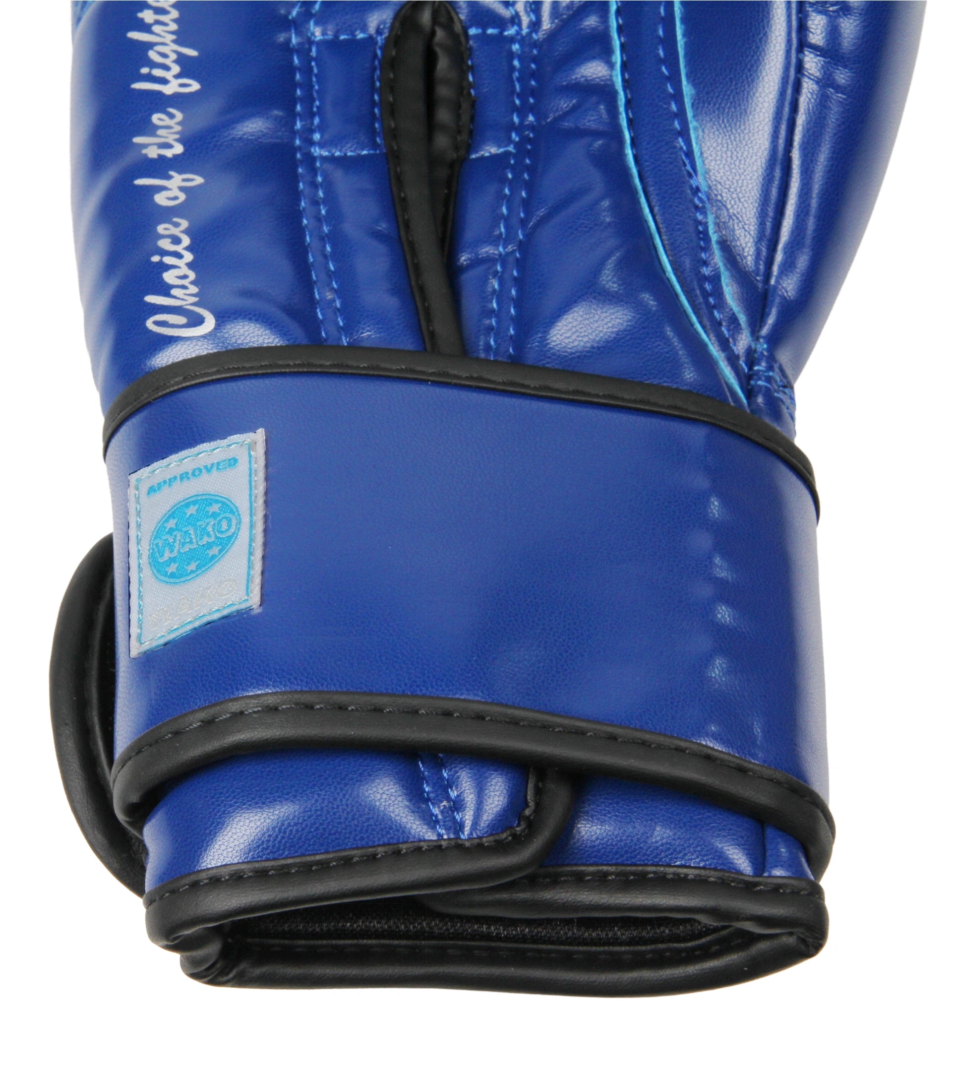 Guantoni Masters Master WAKO Approved | Kickboxing Federkombat 10 Oz