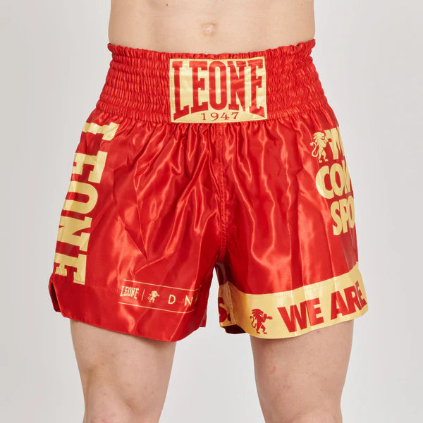 Pantaloncini Muay Thai Kick Boxing Leone DNA
