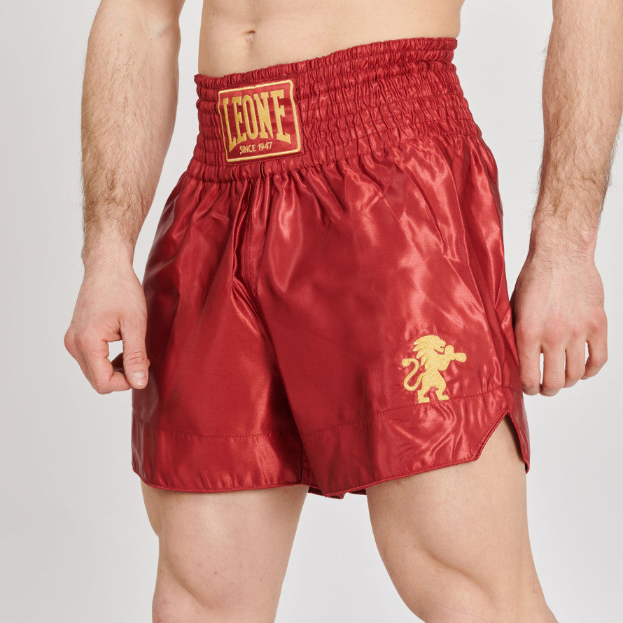 Pantaloncini Kick Thai Leone tinta unita
