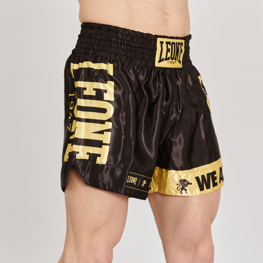 Pantaloncini Muay Thai Kick Boxing Leone DNA