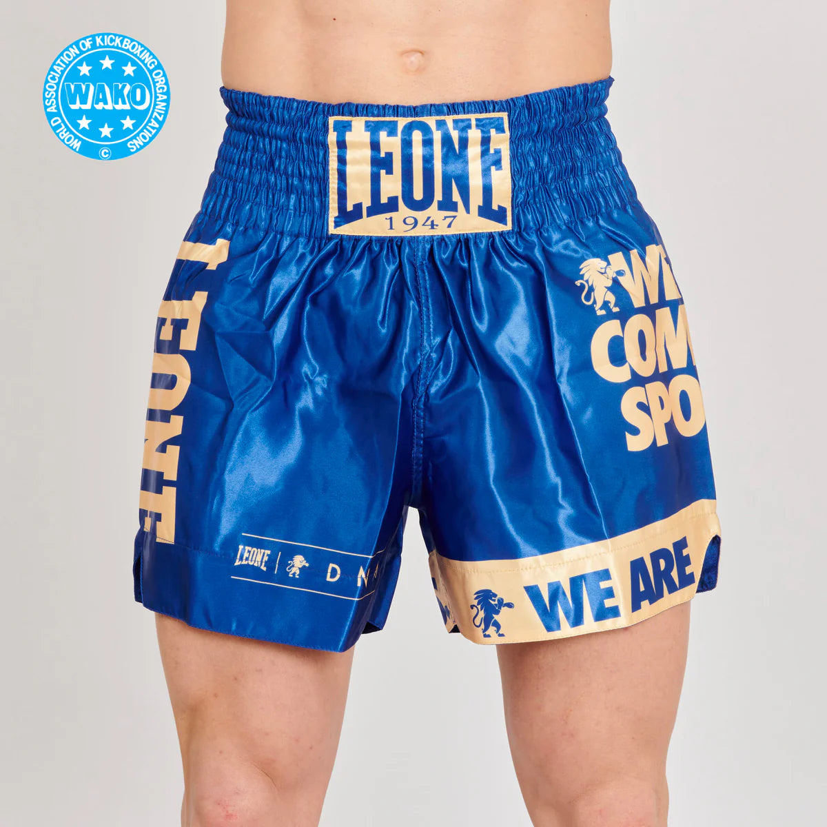 Pantalón corto de Kickboxing WAKO Leone