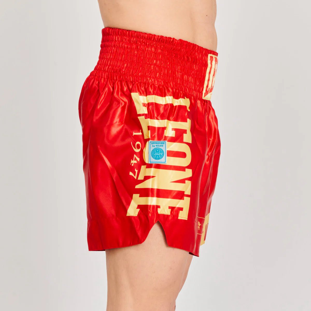 Pantaloncino Kick Boxing WAKO Leone - Fight Club Store