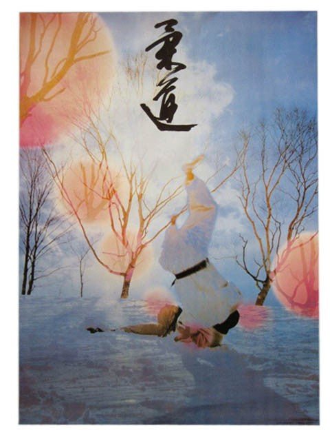 Poster Didattici Arti Marziali Judo e Karate Striking - Fight Club Store