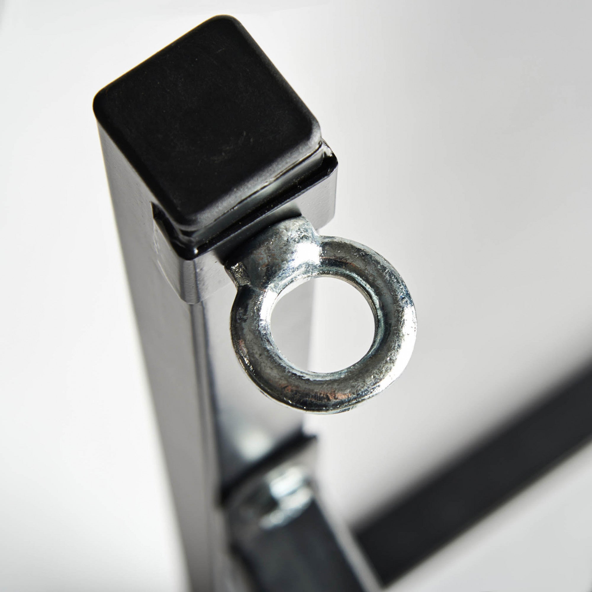 Appendi Sacco da Parete Leone