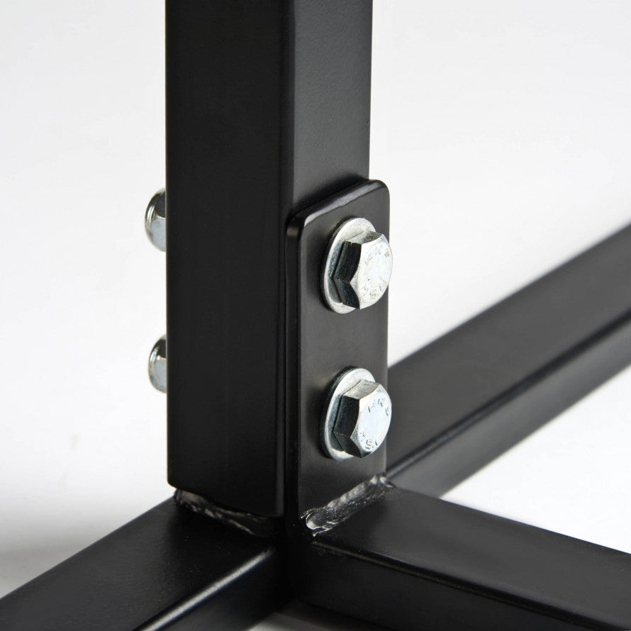 Appendi Sacco da Parete Leone