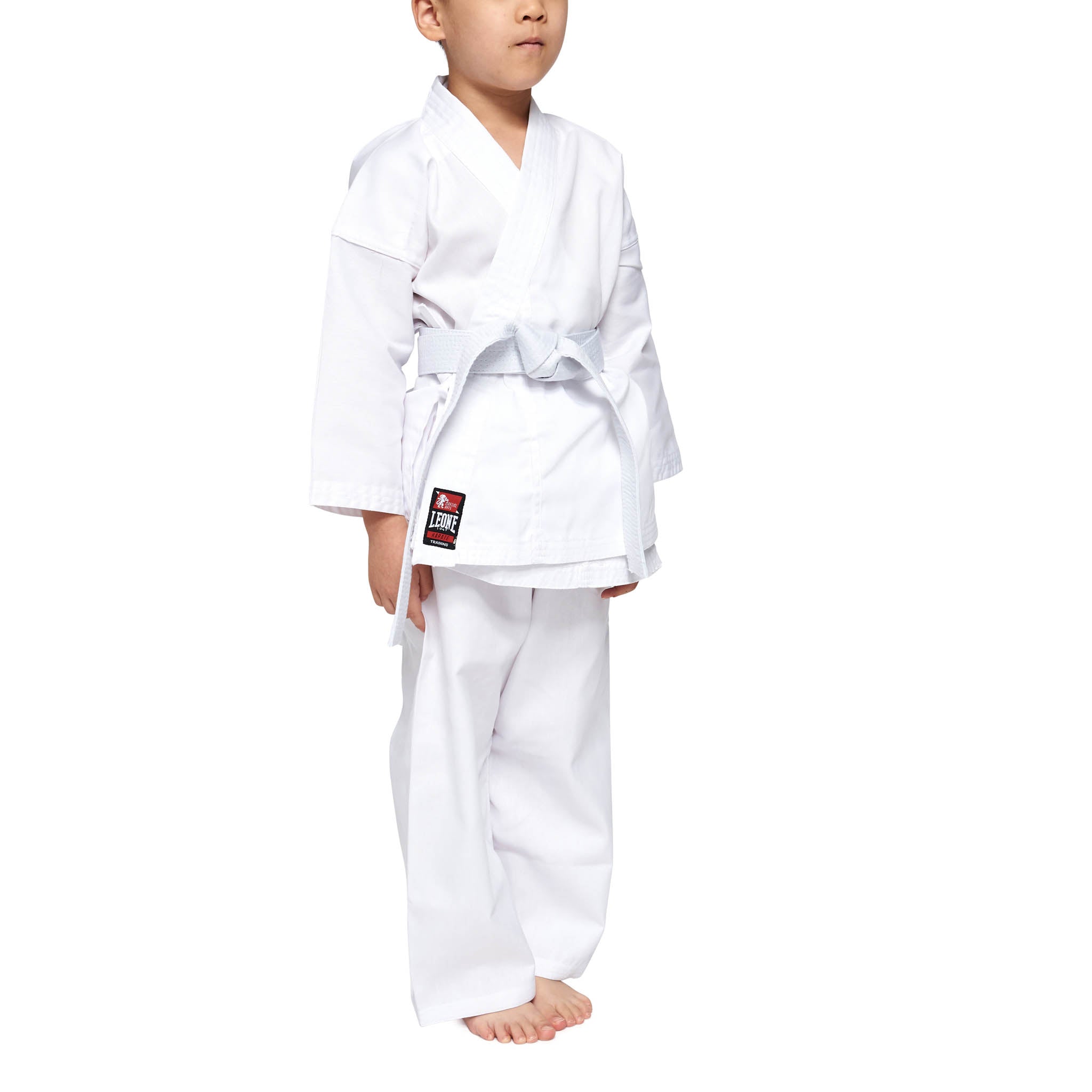 Karategi Leone Training