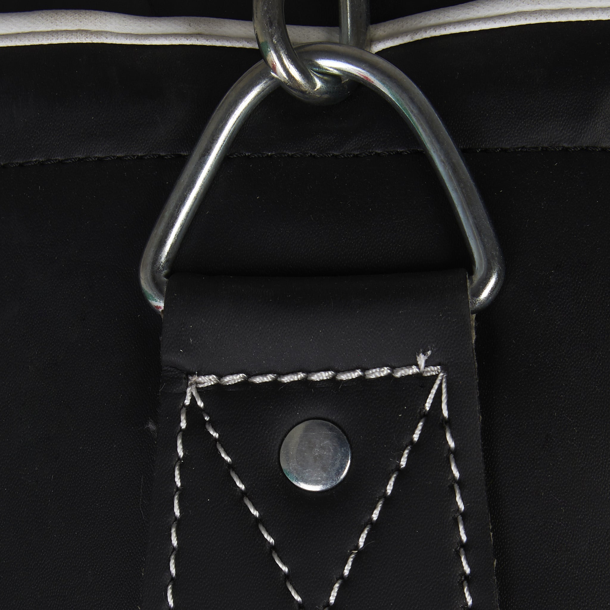 Sacco Leone da Allenamento Pro