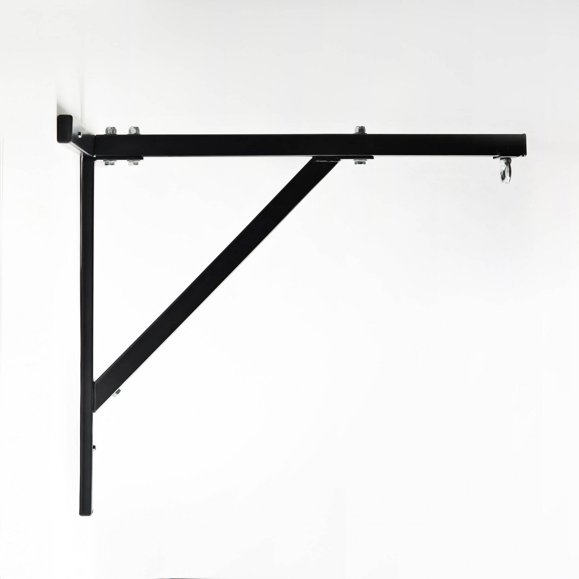 Appendi Sacco da Parete Leone