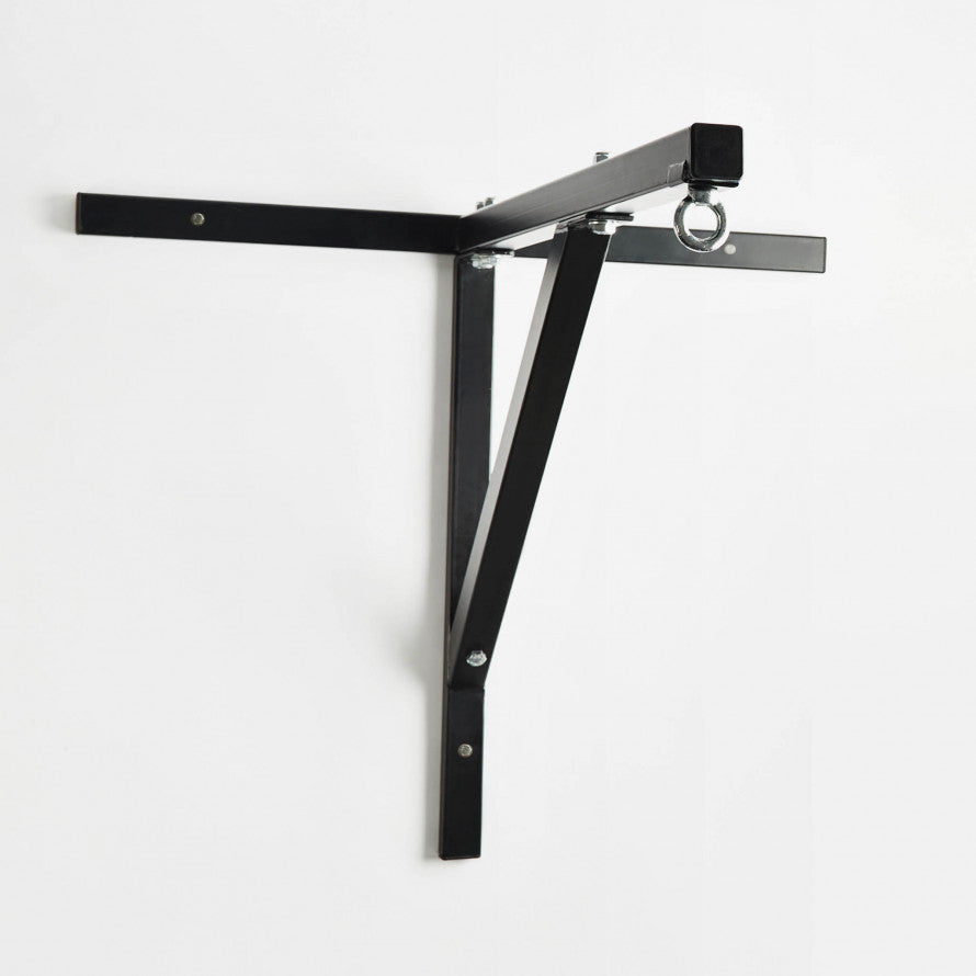 Appendi Sacco da Parete Leone