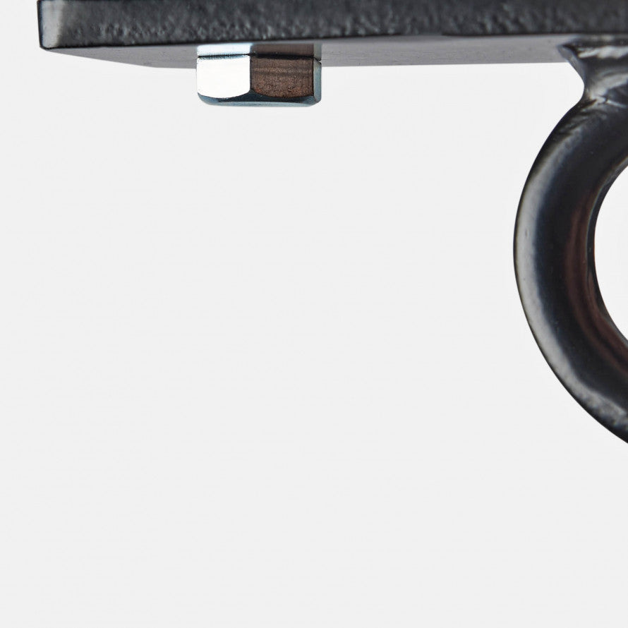 Appendisacco da Soffitto Leone