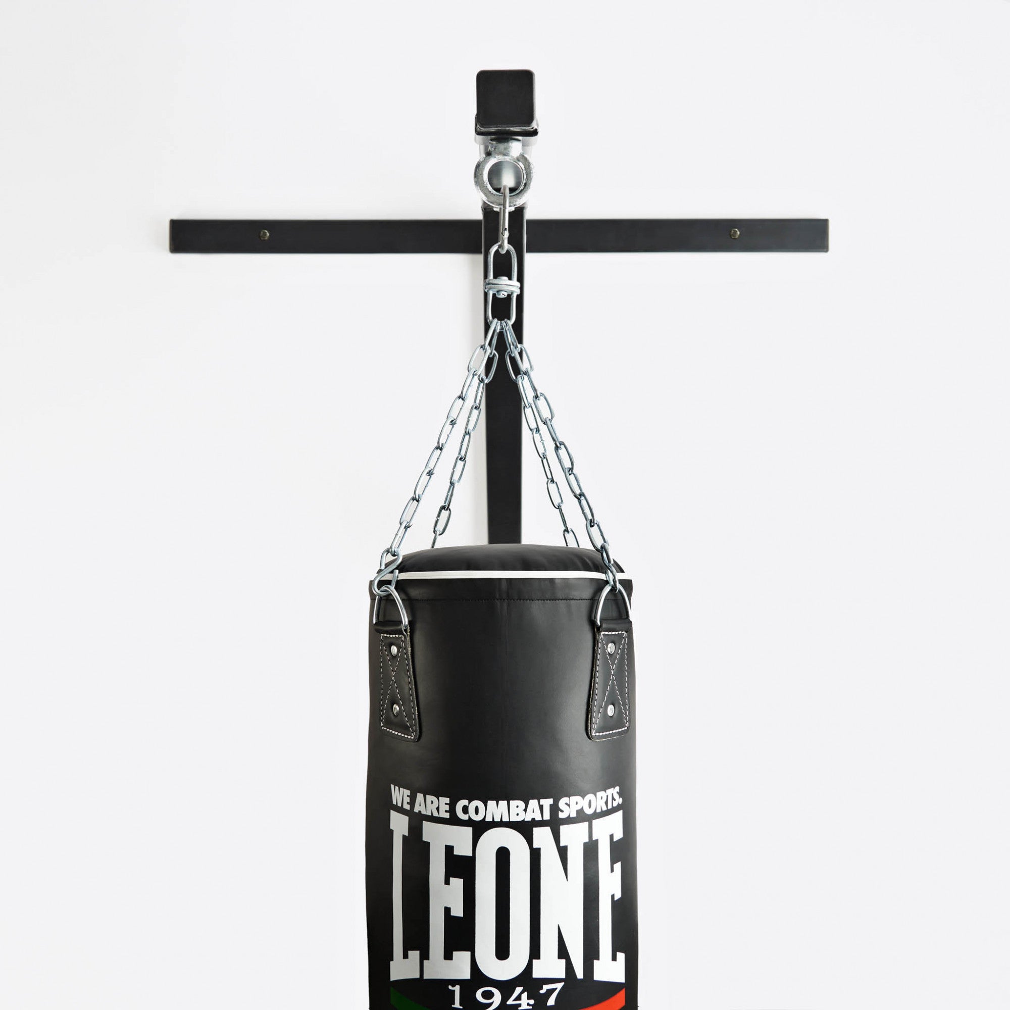 Appendi Sacco da Parete Leone