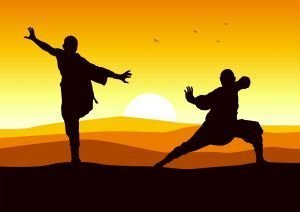 ARMI KUNG FU - Fight Club Store
