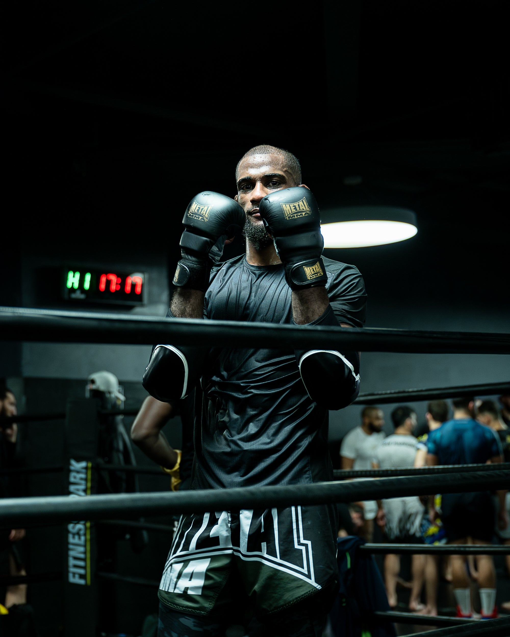 Gants d'entraînement MMA Héritage