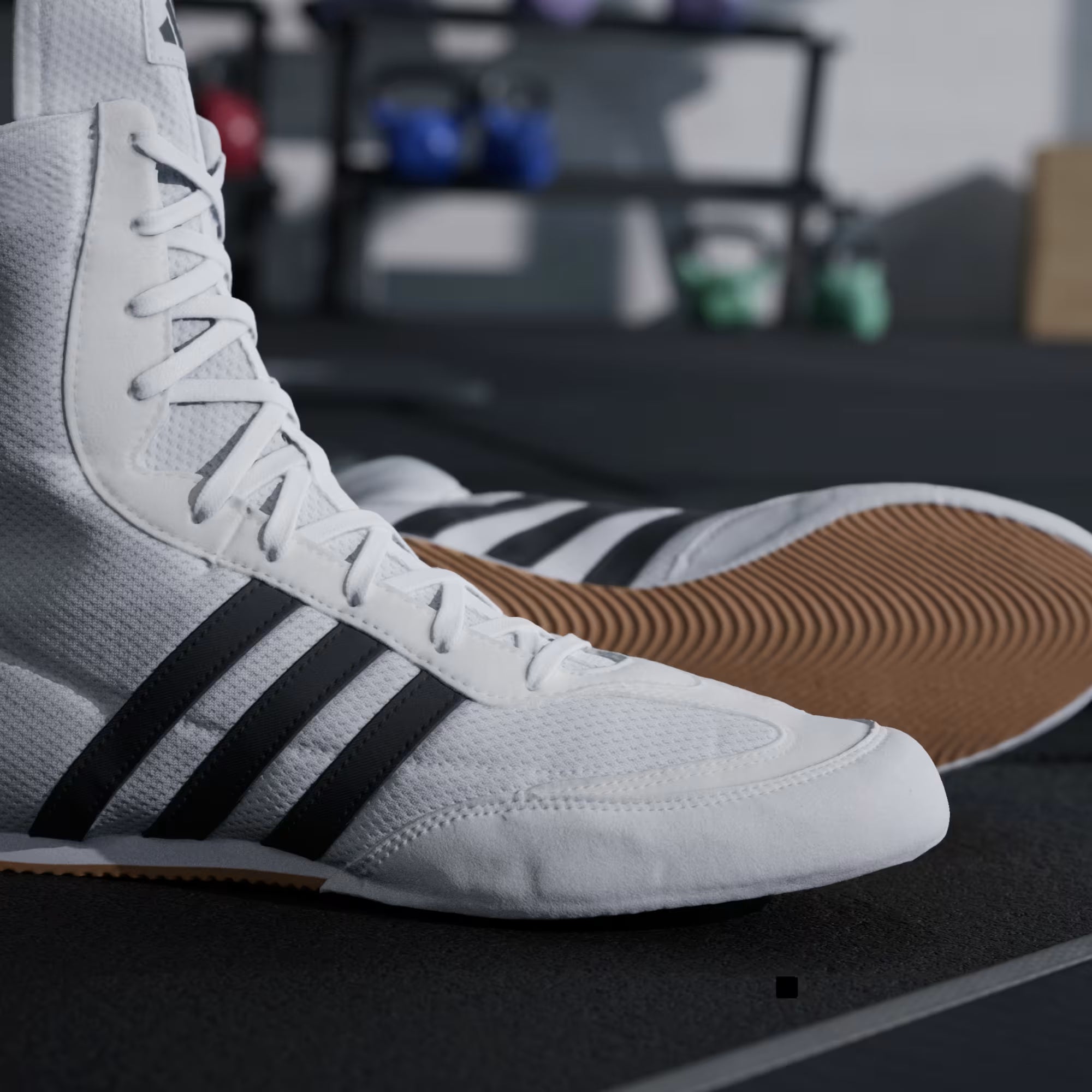 Scarpe Boxe Bianche Adidas Box Hog 2