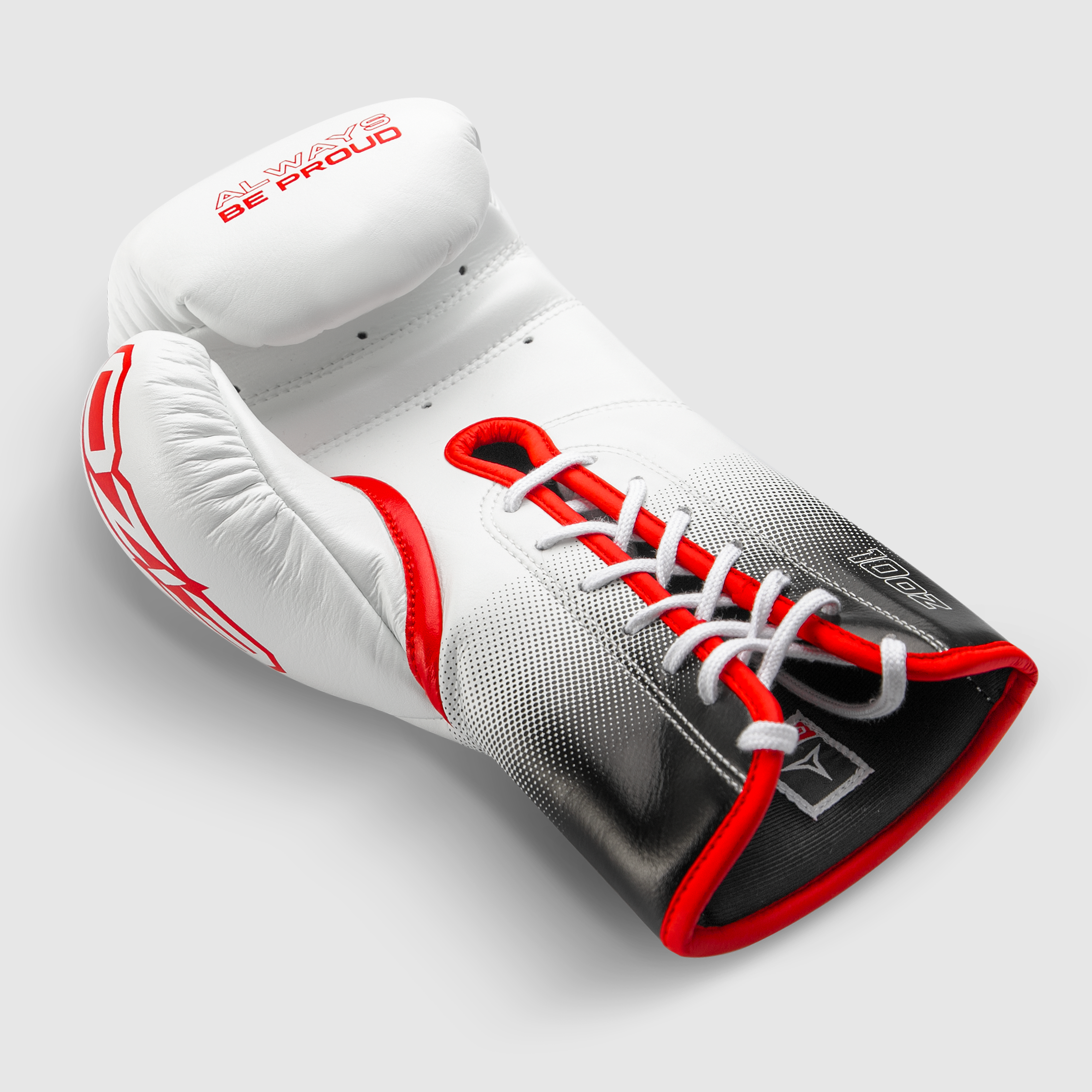 Guantoni Eizo Eclipse con Lacci