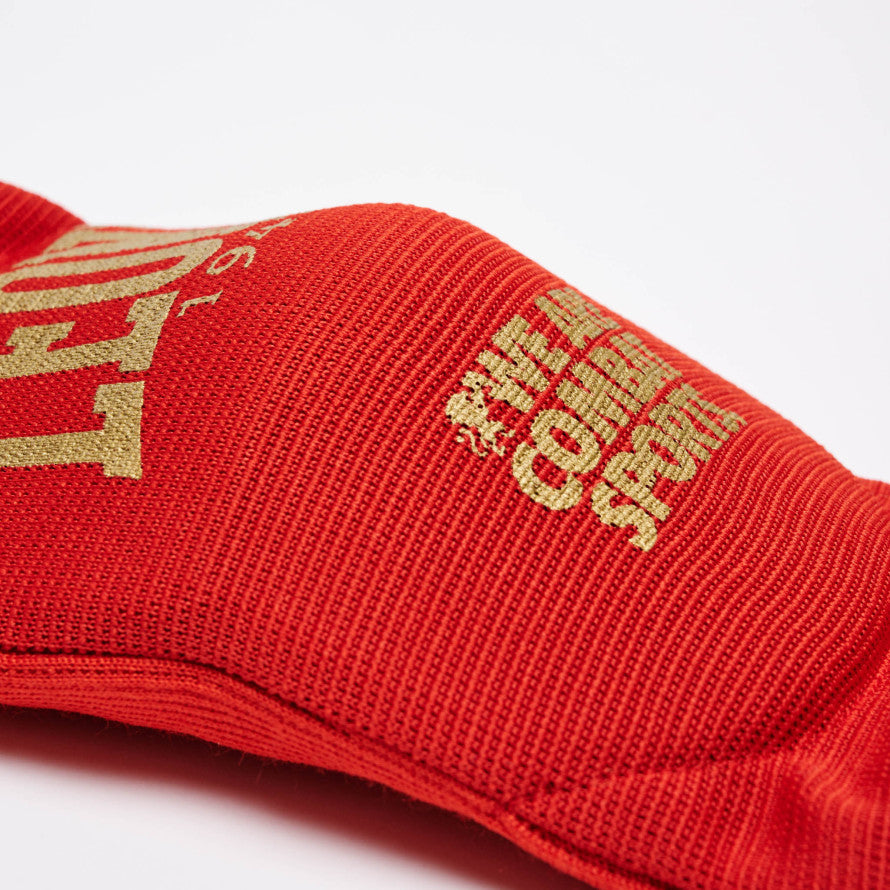 Gomitiere Muay Thai Kick Leone imbottite