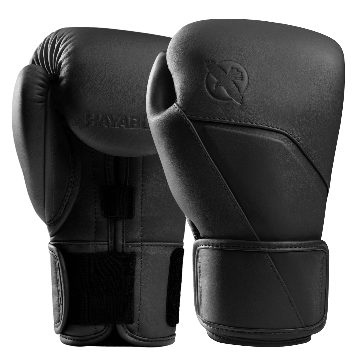Ett par Hayabusa E1 Black Onyx läder boxningshandskar, ergonomisk design för nybörjare och medelåldern