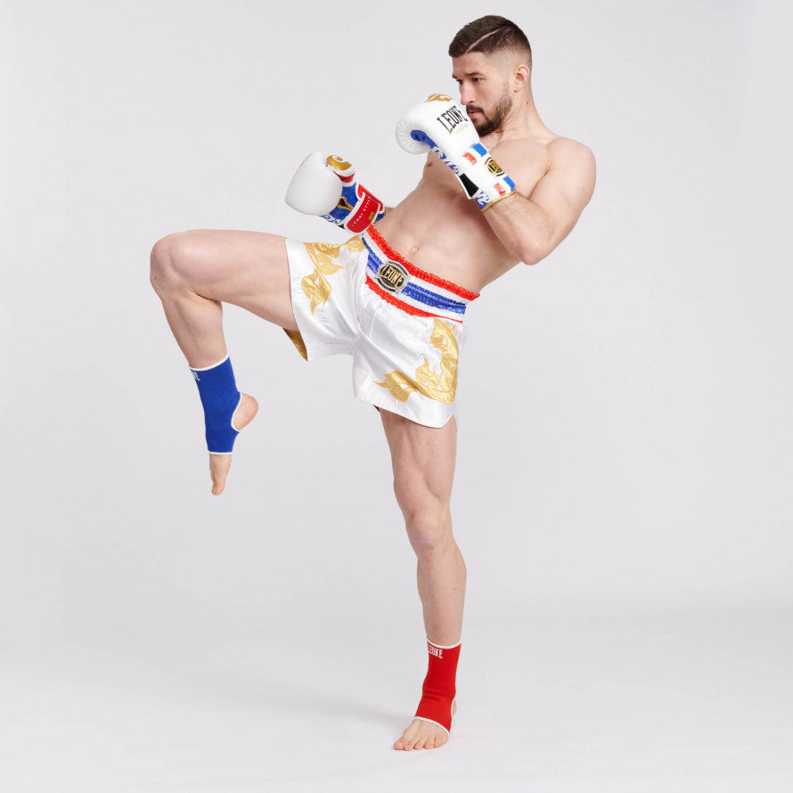 Guantoni Muay Thai Leone