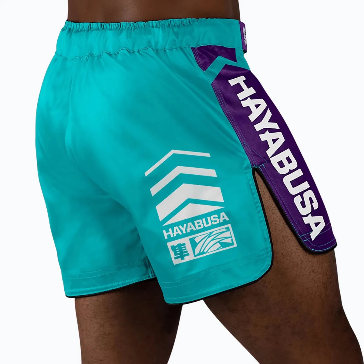 Vue arrière du short de combat Hayabusa Icon turquoise.