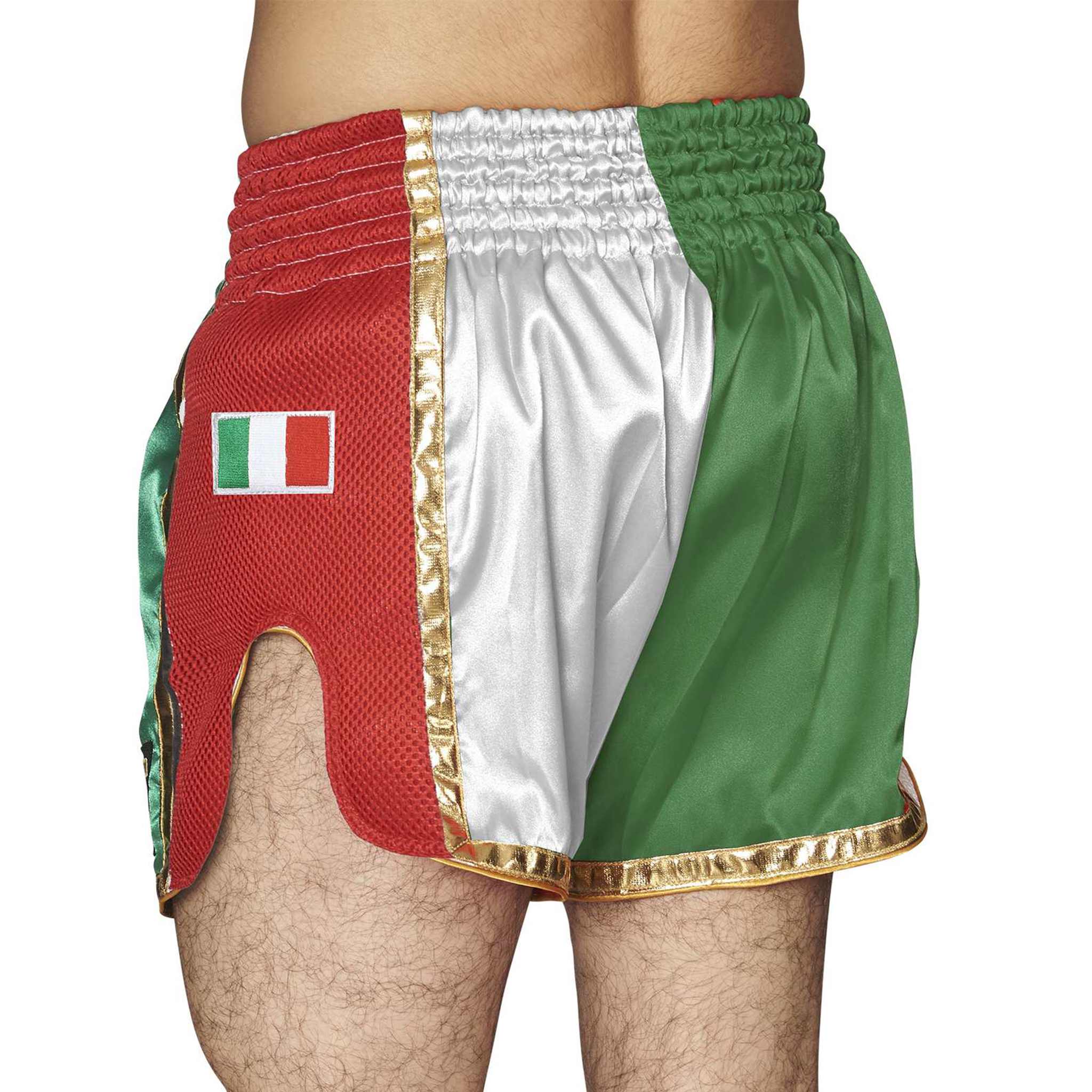 Pantaloncini Muay Thai Leone Siam