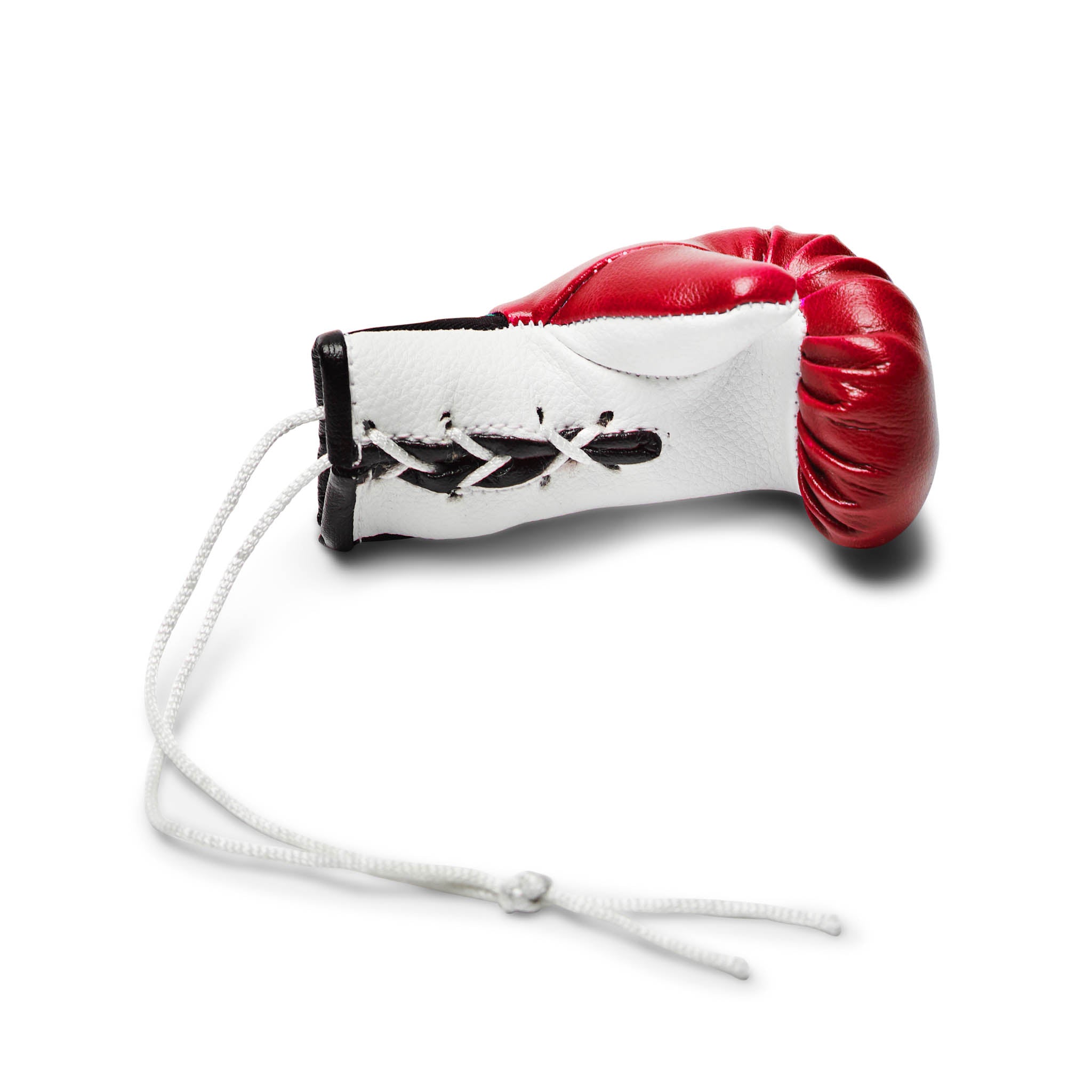 Guanti Portachiavi da Auto Leone