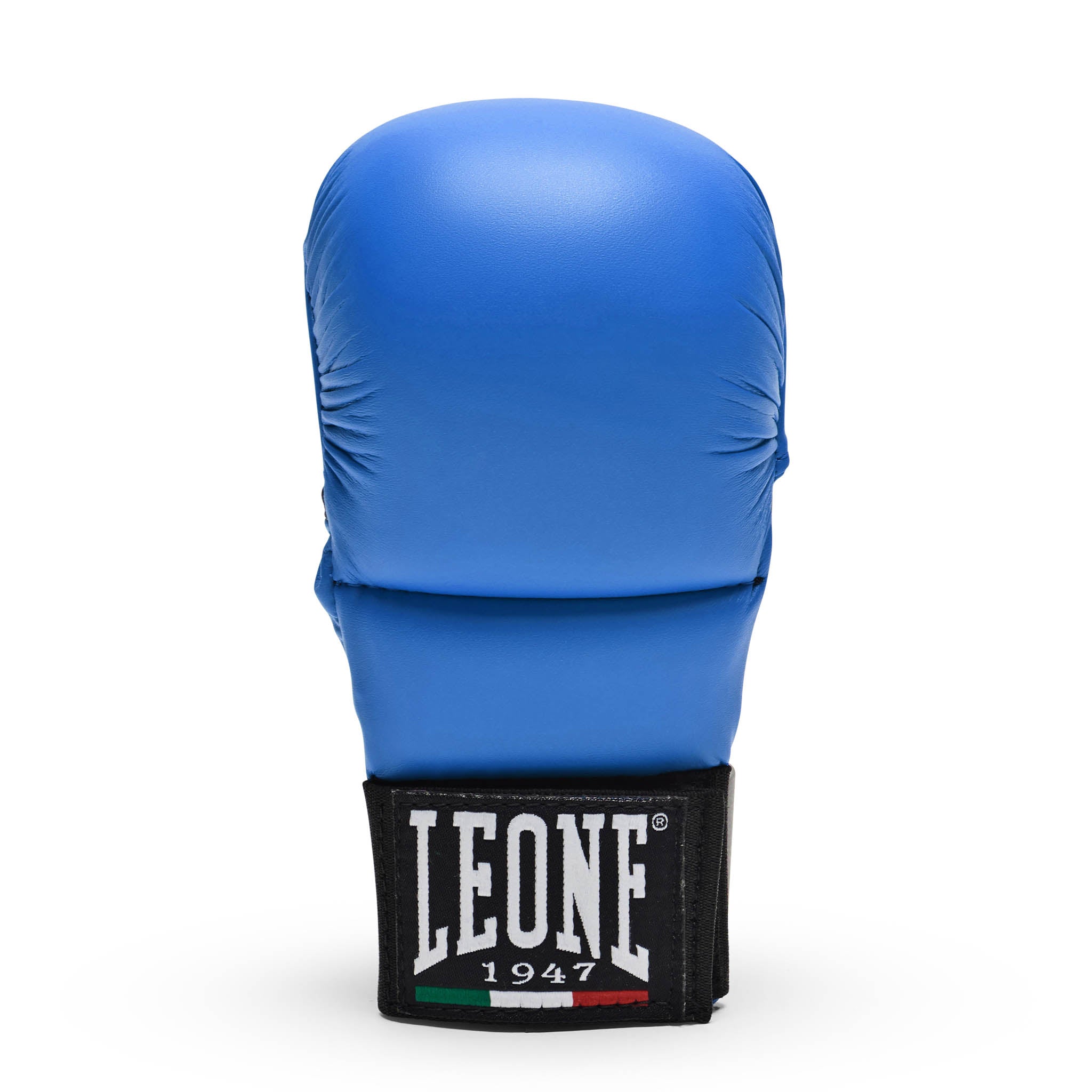 Guanti Fit boxe Karate Leone